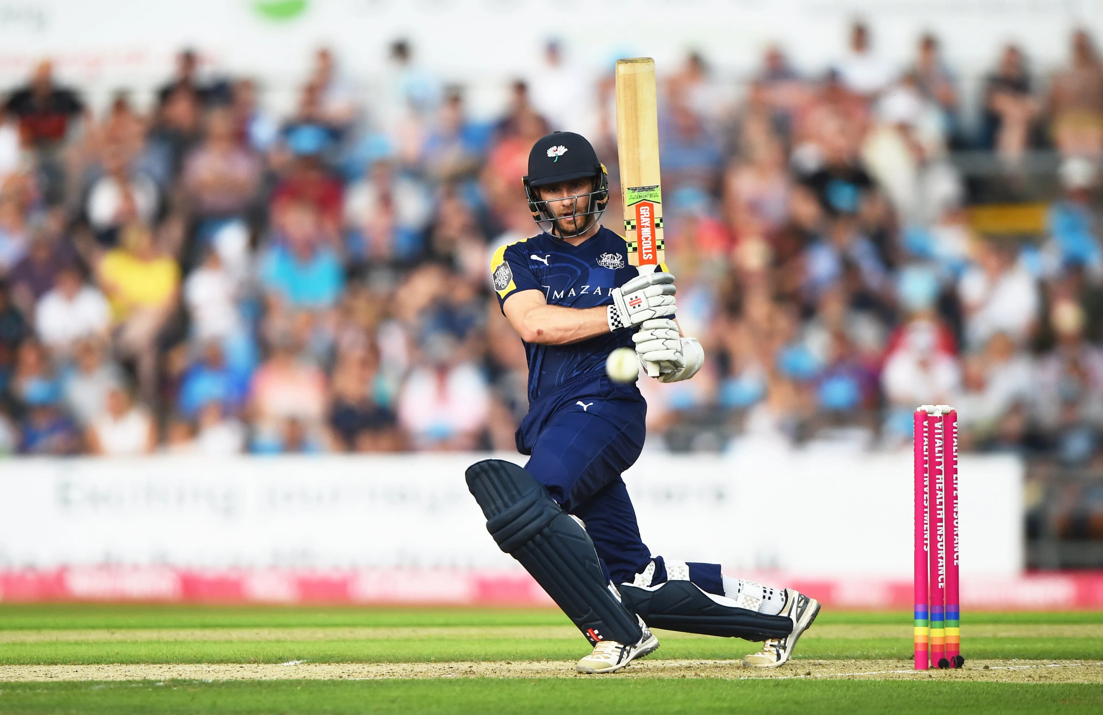 CricSchool analytics hero